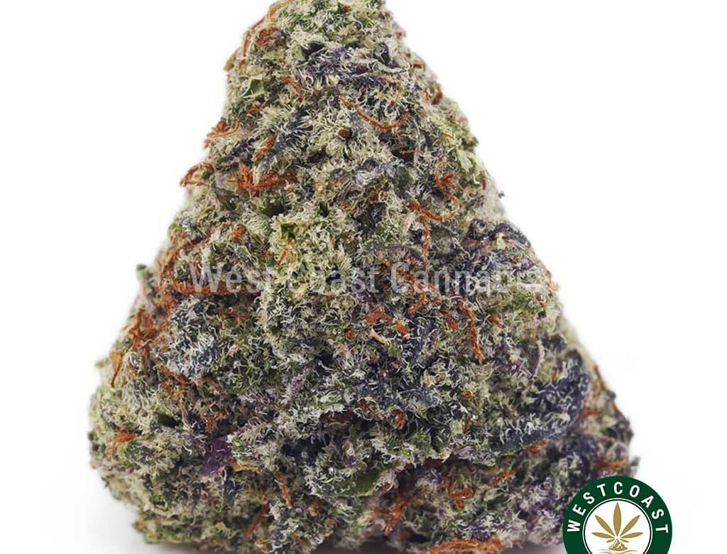 Buy Chocolope AAAA wc cannabis weed dispensary & online pot shop