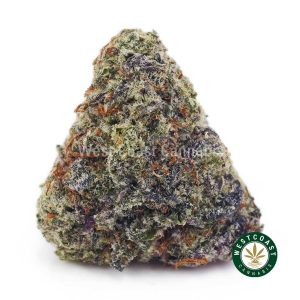 Buy Chocolope AAAA wc cannabis weed dispensary & online pot shop