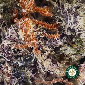 Buy Blueberry Muffin AAAA wc cannabis weed dispensary & online pot shop