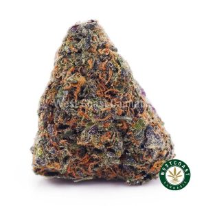 Buy Blue Magoo Cookies AAAA wc cannabis weed dispensary & online pot shop