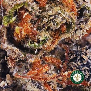 Buy Huckleberry Soda AAA wc cannabis weed dispensary & online pot shop