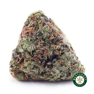 Buy Papaya Punch AAA wc cannabis weed dispensary & online pot shop