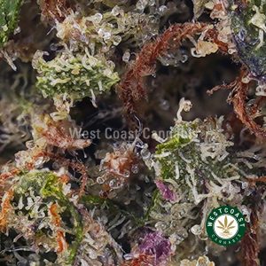Buy Candy Pink Kush AAA wc cannabis weed dispensary & online pot shop