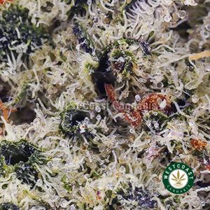 Buy Gorilla Glue #4 AAAA wc cannabis weed dispensary & online pot shop