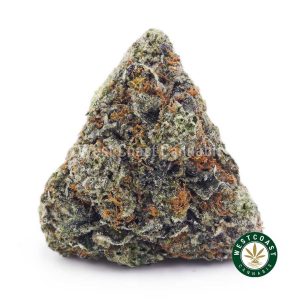 Buy Pink Gas Mask Bubba AAAA+ wc cannabis weed dispensary & online pot shop