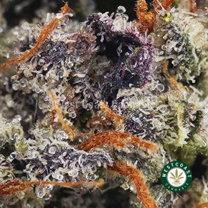 Buy Layer Cake AAAA+ wc cannabis weed dispensary & online pot shop