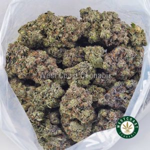 Buy Layer Cake AAAA+ wc cannabis weed dispensary & online pot shop