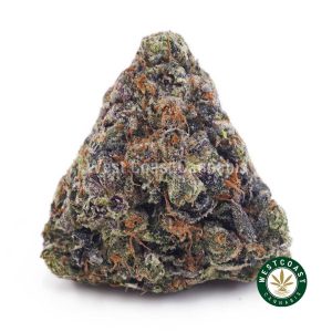 Buy Tom Ford AAAA+ wc cannabis weed dispensary & online pot shop