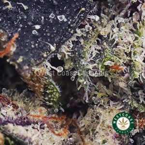 Buy Supreme Gas Mask AAAA+ wc cannabis weed dispensary & online pot shop