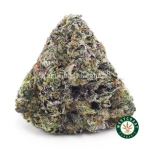 Buy Lava Cake AAAA+ wc cannabis weed dispensary & online pot shop