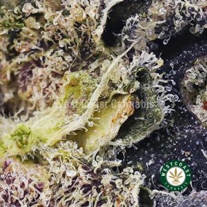Buy Lava Cake AAAA+ wc cannabis weed dispensary & online pot shop