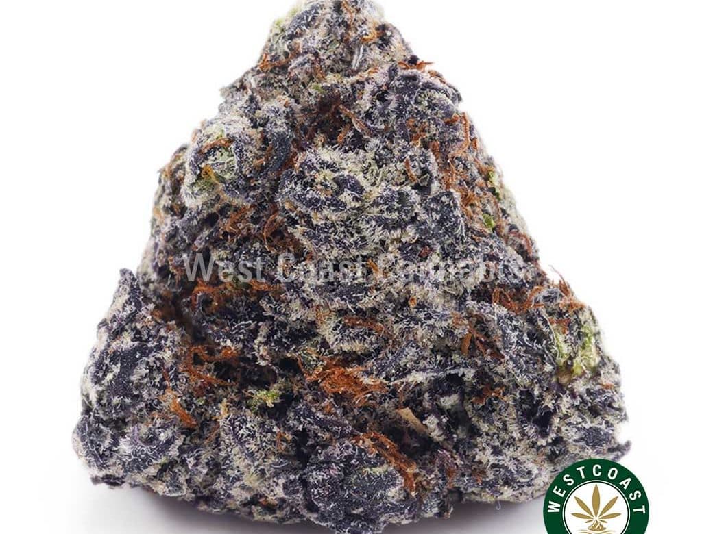 Buy Budzilla AAAA wc cannabis weed dispensary & online pot shop