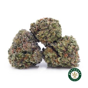 Buy Tuna Kush AAAA (Popcorn Nugs) wc cannabis weed dispensary & online pot shop