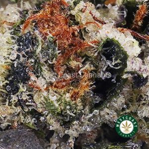 Buy Platinum Rockstar AAAA (Popcorn Nugs) wc cannabis weed dispensary & online pot shop