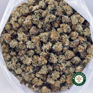 Buy White Runtz AAAA (Popcorn Nugs) wc cannabis weed dispensary & online pot shop