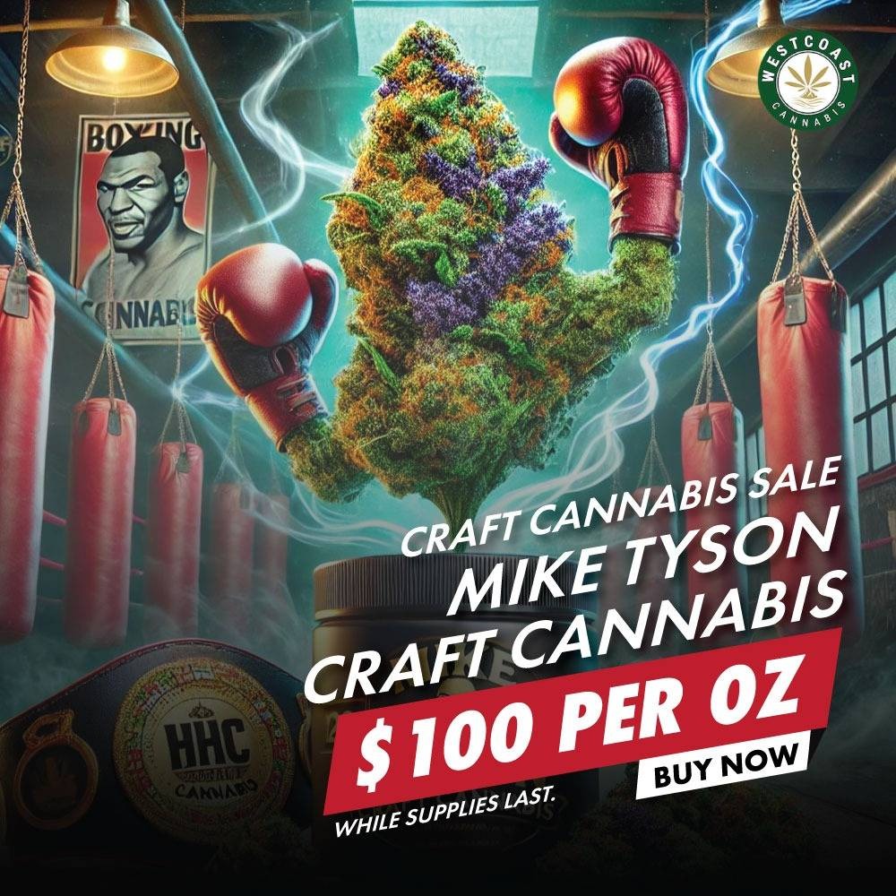 wcc mike tyson banner