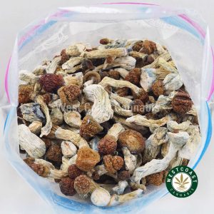 Buy Shrooms - Penis Envy #6 wc cannabis weed dispensary & online pot shop