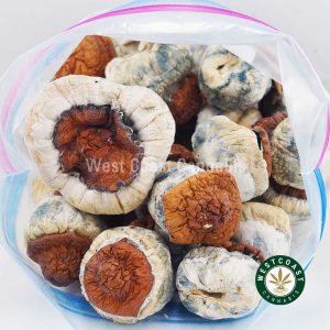 Buy Shrooms - Wollongong wc cannabis weed dispensary & online pot shop