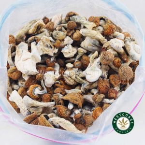 Buy Shrooms - Blue Meanie wc cannabis weed dispensary & online pot shop