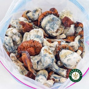 Buy Shrooms - Bluey Vuitton wc cannabis weed dispensary & online pot shop