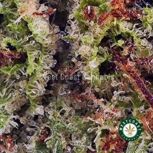 Buy Khalifa Cookies AAAA (Popcorn Nugs) wc cannabis weed dispensary & online pot shop