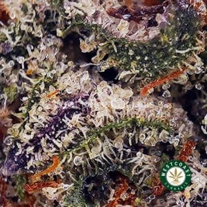 Buy Master Jedi AAAA (Popcorn Nugs) wc cannabis weed dispensary & online pot shop