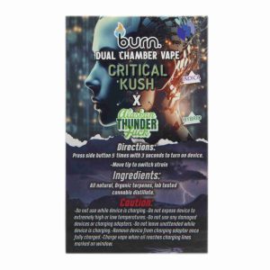 Buy Burn Extracts - Dual Chamber Disposable Vape - Critical Kush + Alaskan Thunder Fuck (3+3 Gram) at Wccannabis Online Shop
