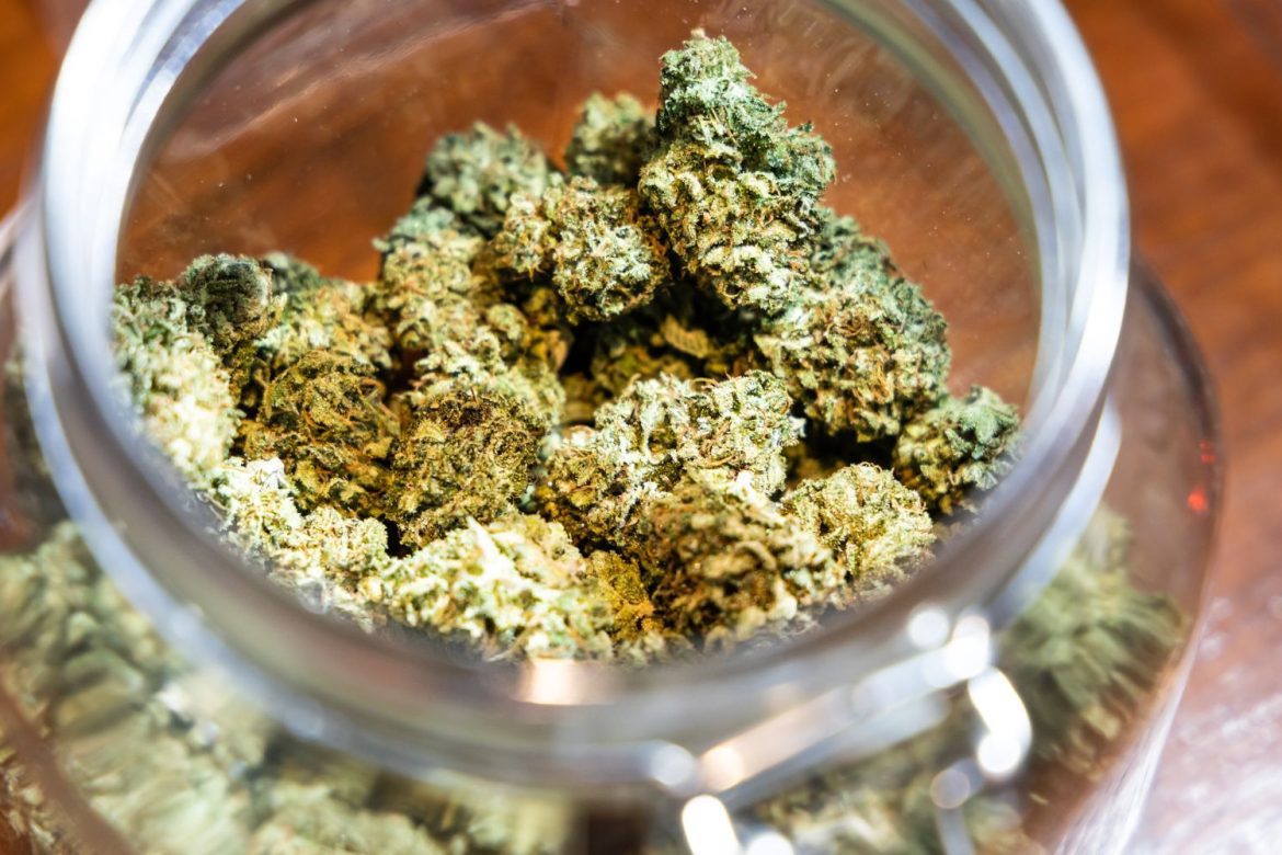 Discover uplifting power of God's Green Crack strain, a potent hybrid that enhances focus & delivers deep relaxation. Learn more about this.
