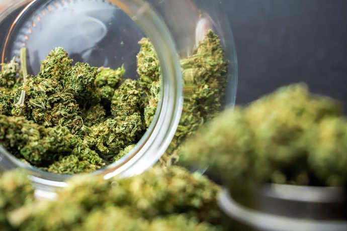 OG Kush in Canada delivers a bold lemon-diesel aroma, high THC & effects. Here’s why we recommend getting it from an online dispensary today!