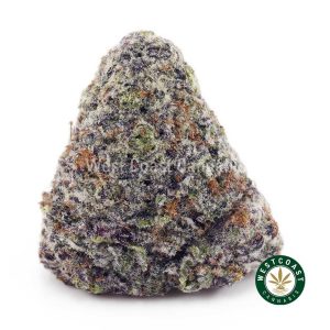 Buy Bacio Gelato AAAA+ wc cannabis weed dispensary & online pot shop