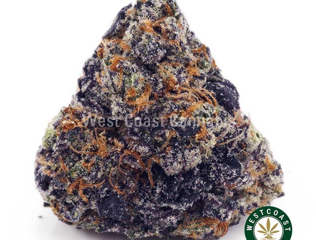 Buy Blueberry Kush AAA wc cannabis weed dispensary & online pot shop