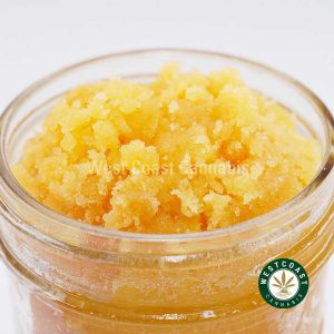 W529A3 BLUEBERRYKUSH LIVERESIN WCCANNABIS