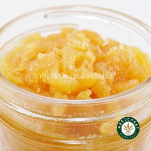 W530A3 ASTROPINK CAVIAR WCCANNABIS