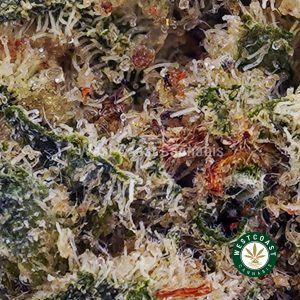 Buy Frosted Cherries AAA wc cannabis weed dispensary & online pot shop