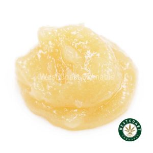 W562A2 WHITEBISCOTTI CAVIAR WCCANNABIS