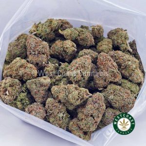 Buy Gelato #41 AAA wc cannabis weed dispensary & online pot shop