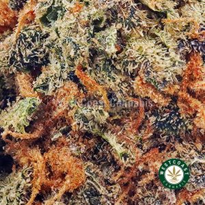 Buy Alaskan Thunder Fuck AAA wc cannabis weed dispensary & online pot shop