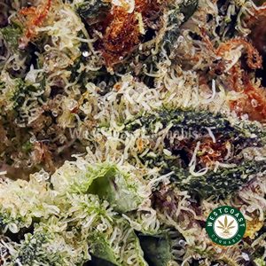Buy Guava Punch AAA wc cannabis weed dispensary & online pot shop