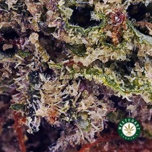 Buy Caribbean Creme AAA wc cannabis weed dispensary & online pot shop