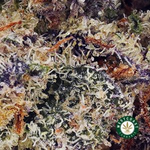 Buy Cookies and Cream AAA wc cannabis weed dispensary & online pot shop