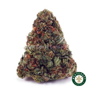 Buy Rock Tuna AA wc cannabis weed dispensary & online pot shop