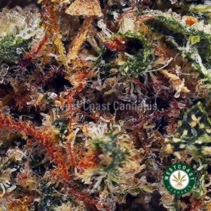 Buy Rock Tuna AA wc cannabis weed dispensary & online pot shop