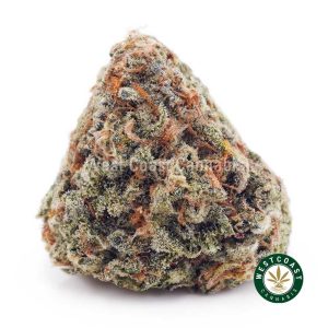 Buy White Biscotti AA wc cannabis weed dispensary & online pot shop