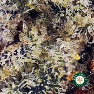 Buy White Biscotti AA wc cannabis weed dispensary & online pot shop