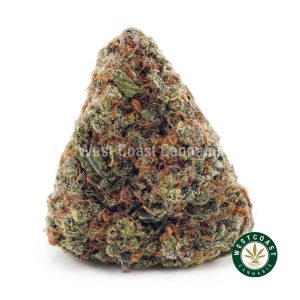 Buy Afghan Kush AA wc cannabis weed dispensary & online pot shop