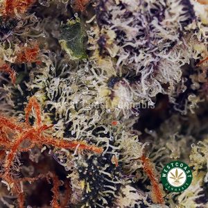 Buy Cookies Kush AAAA (Popcorn Nugs) wc cannabis weed dispensary & online pot shop