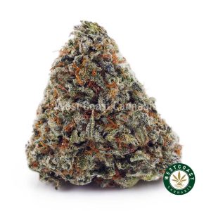 Buy Super Silver Haze AAAwc cannabis weed dispensary & online pot shop