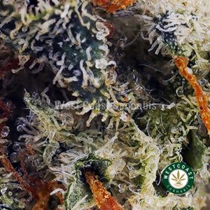 Buy Super Silver Haze AAAwc cannabis weed dispensary & online pot shop