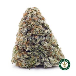 Buy Nirvana AAA wc cannabis weed dispensary & online pot shop