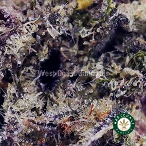 Buy Berry Bomb AAAA wc cannabis weed dispensary & online pot shop